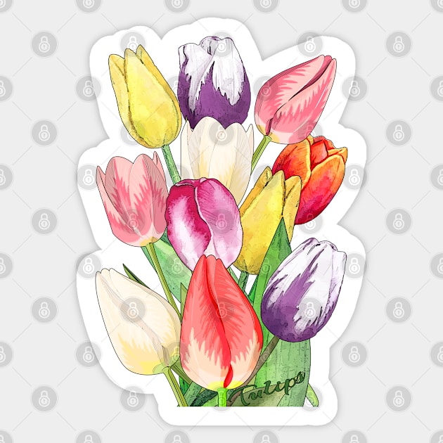 Tulips-Spring flowers Sticker by KrasiStaleva